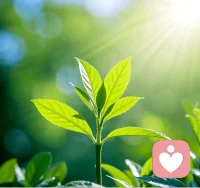 不要把人想的太好，也不用把人想的太坏
自己有能力判断是为了保护自己不受伤害
但是有容人之心和原谅别人的气度，即是放过别人也是放过自己
更是与生活和解，有些情绪是需要时间化解
但是不要让他影响自己太久