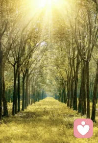 任何事情我都喜欢预测到
最坏的结果，不是悲观
我依然会朝好的方向努力
无论结果如何都不会失望
甚至还会有惊喜；
如果预测的那个最坏结果
自己承受不起
不要勉强为之，青春可以拼尽全力
但生活要理性对待