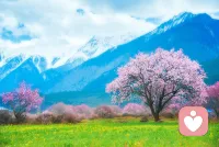 愿意听你碎碎念，
也愿意陪你渡难关。
我在这里，随时等你开口。配图