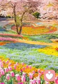 愿今天的心情像花儿一样灿烂，配图