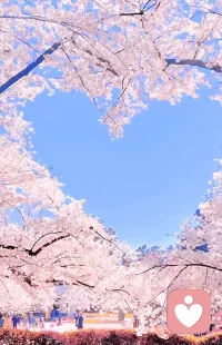 希望此刻你的心情像天空，灿烂阳光配图