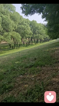 焦虑的时候，就去倾诉，去森林里放松，去兜风