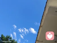慢下来，我像大树一样，享受阳光，和微风，我觉得很好配图