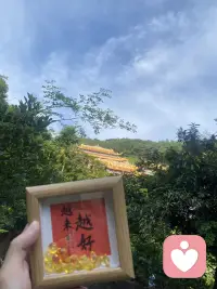 这个世界也是很美好的，希望大家越来越好！