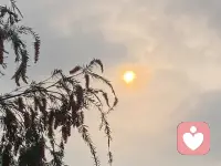 生活终究会教我们：什么都可以随风，唯有感情最难割舍。
但感情也是这个世界最柔软、也最坚韧的纽带，让人有勇气面对生活的风风雨雨。配图