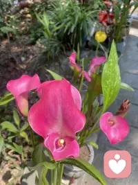 踏青的好时节，你心情低落无奈的时候，多出来走走配图