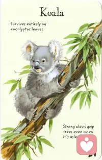 虽然你没有存下资本金
但拥有让人羡慕的青春
但你有的也仅仅是青春配图