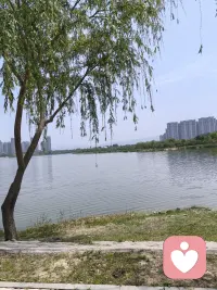 就像公园里的花，自顾自地开，不讨好风，不迎合雨。关系里也是一样，好的婚姻、舒服的人际，从来不是捆绑和消耗，而是各自扎根，又彼此映照着生长。