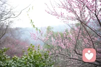 “家庭中的争吵，常常是两颗心都在用错误的方式呼喊：‘请看见我的委屈与需要’。”