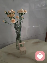 喜欢放假呆家，一个人很清静的感觉配图