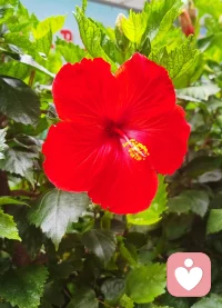 早安

定下心沉淀，抬起头发光。配图