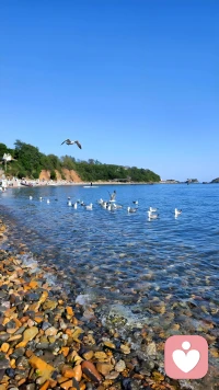 以心相交，以诚为契，以共情为暖，以信任为灯。愿我们彼此懂得、携手同行，共渡情绪风雨，静待心光重启，在相伴中彼此治愈，向阳而行。