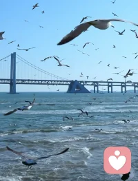 心怀感恩，亦怀敬畏。往后愿以真诚为基，以专业为翼，静心倾听，温柔陪伴，用心对待每一份信任，踏实走好每一步。
不负遇见，不负托付。配图