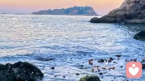 当代婚姻修复：从冲突到重建的专业干预策略