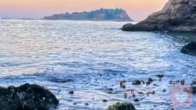 当代婚姻修复：从冲突到重建的专业干预策略