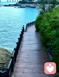 心理咨询师以专业倾听与共情，陪伴来访者梳理情绪、解开心结。他们用科学方法引导自我觉察，帮人走出心理阴霾，守护心灵健康，传递温暖与力量。配图