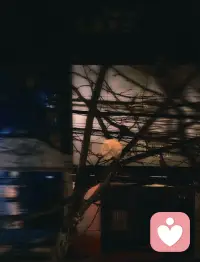 不要带着情绪，去做任何决定。配图