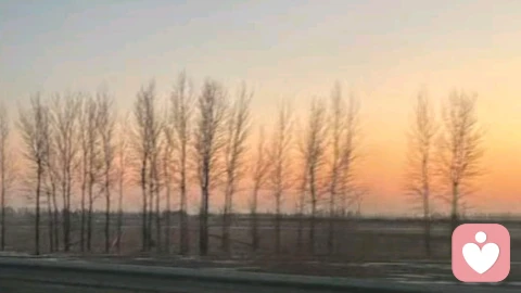 婚姻是减法,不是加法:接纳不完美,才是长久答案