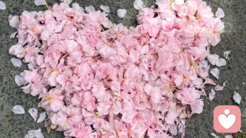 成年人最扎心的感情真相:深爱者离散，不爱者终老。