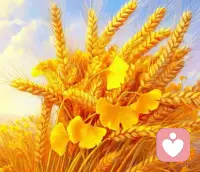 不必追光，你我皆是星辰。不必羡慕他人的光芒，每个人都有自己的花期，认真生活、默默沉淀，你想要的，时光都会为你奔赴而来。