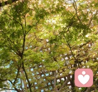 问题本身不是问题，对问题的不接纳、对抗，或执着于解决问题，才构成了真正的“问题”。配图
