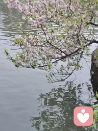 不知道该说什么的时候，就什么都不说
不知道该做什么的时候，就什么都不做
去倾听，去感受，去接纳，去带来安全感配图