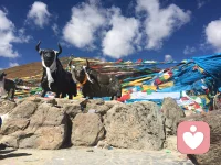 今天是第一天，加油。配图