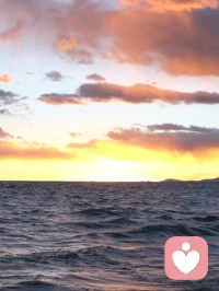 大海不缺一滴水
森林不缺一棵树
但你的故事里，缺了谁都不完整
世界因你的存在
多了一种不可替代的颜色