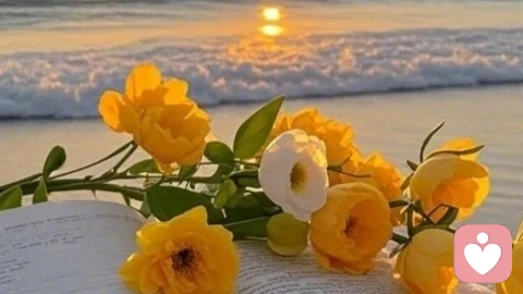 允许自己把心放慢一点