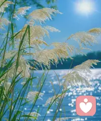 情绪没有对错，
难过就哭，累了就歇。
不用假装坚强，
真实的你，已经足够好配图