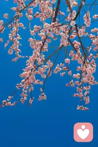 生活没有标准答案，适合自己就是最好。
三餐四季，柴米油盐，
平凡的日子里，藏着最踏实的幸福。
珍惜当下，感恩拥有，
简单一点，快乐就会多一点。