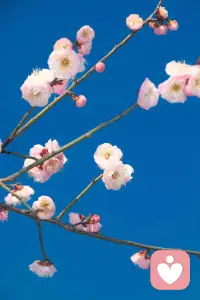 先照顾好自己，这个世界才真正属于你。
风雨由天，快乐由己，保重身体，从来不是口号，而是底线。健康是第一，也是唯一。除了健康，其他都是身外之物。配图