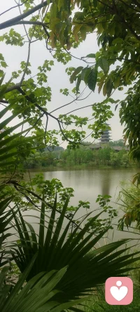 一段感情的结束，从来都不是你的失败，只是命运在帮你筛选更合适的奔赴。