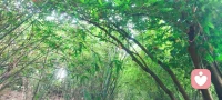 分清“舍不得人”还是“舍不得付出的时光”
很多人放不下的不是对方，是自己投入的真心、时间、期待。接受付出没有对等回报，及时止损是放过自己。