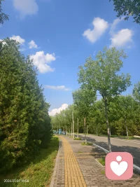 长久奔波于两点一线，只顾赶路，忽略了沿途满片晴朗与绿意。
慢下来才懂，风景从来不在终点，而在路过的每一刻。