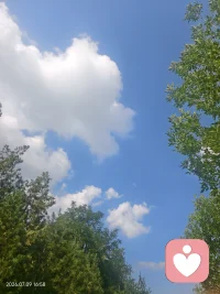 长久奔波于两点一线，只顾赶路，忽略了沿途满片晴朗与绿意。
慢下来才懂，风景从来不在终点，而在路过的每一刻。