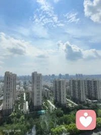 城市繁华，也有自由的风