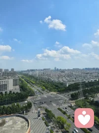 城市繁华，也有自由的风