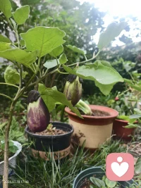 万物生长自有周期，心事释怀不必急于一时。
我静心倾听，陪你慢慢和自己和解。