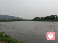 直视痛苦或许是窄门，但背对痛苦将是更漫长的迷宫。那些未被觉察的情感，总在暗处生长，悄悄成为灵魂的暗礁。

有时，最难的事不是潜入内心的深海，而是承认自己一直闭着眼在风浪中航行——你躲过了审视的眩晕，却可能永久地失去了岸的轮廓。一个不敢看自己的人，便成了自己世界里的盲人，看不见枷锁，也错失了钥匙。配图