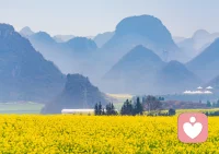 什么是好朋友，能真心盼着朋友好的才是，能共喜，能共悲，你跟我分享你的喜悦，我发自内心的祝福