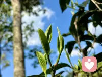 人是通过原生家庭来到这个世界的，的确很多问题是原生家庭带给我们的，但是呢，我们要把原生家庭的功能缩小，只是一个来到这个世界的通道，世界很大，通道很短，我们可以不断的迭代、进化，把这些慢慢翻篇，若有可能呢，反向影响他们。