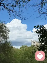 该工作的时候好好努力，该玩的时候好好尽兴，遇到比自己优秀的人学会欣赏，看到落魄潦倒的也不鄙视，这就是所谓的“拎得清”，做人做事，这样的状态最好。配图