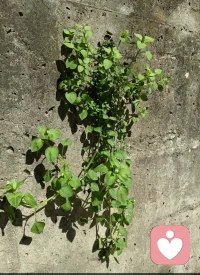 人生短短数十载，不要让任何世俗的看法左右自己的选择。既然有幸生于人世间，自己的人生就要自己做主。

只此一次的人生，你得活成自己人生剧本的主角。

人生如列车，不在于终点何方，而在于沿途的风景以及看风景的心情。配图