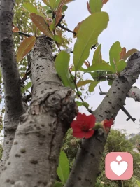 生命中那些你想要的礼物，往往都包装在一个叫作挑战的盒子里，谁能勇敢面对，谁能努力付出，谁能坚持到底，谁才能收到生活的奖赏。配图