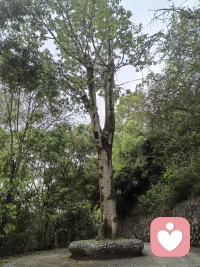 生命中那些你想要的礼物，往往都包装在一个叫作挑战的盒子里，谁能勇敢面对，谁能努力付出，谁能坚持到底，谁才能收到生活的奖赏。配图