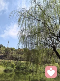 无论何时，都要相信你的潜力无限，永远不要给自己的人生设限。对所有美好事物充满好奇和热爱，不断学习去提高自己、充盈自己。朋友早安！配图