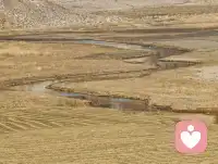 今天是3月25日，星期三，农历二月初七。努力，虽然未必会收获，但放弃，一定一无所获。再好的机会，也要靠人把握，而努力至关重要。种瓜得瓜，种豆得豆，不种颗粒无收。配图