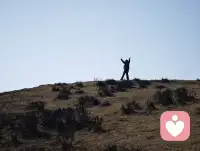 过分懂事，往往会造就一种很深的内耗，我们得知道，总是先懂别人，替别人考虑，这看起来很成熟，但它背后常常伴随着一个巨大的代价，你慢慢丢失了自己，你开始习惯压住感受，咽下不舒服，把别人的需要放在自己的前面，久而久之，你越来越会懂人，却越来越不敢尊重自己，所以真正重要的从来不是变得更懂事，而是学会一件事，先照顾好自己，而不是围着别人的情绪打转，当你不再用懂事唤取关系的安全感，你才开始真正站回自己的人生里。配图