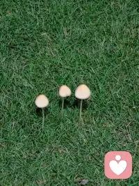 生命最好的样子，是懂得渡生活的难，也懂得谢时光的暖，烟火人间，独善其身，看世界，爱自己。

细品岁月，百事从欢，不荒废好时光，不辜负小风景，内心始终有光，好运就会接踵而来。